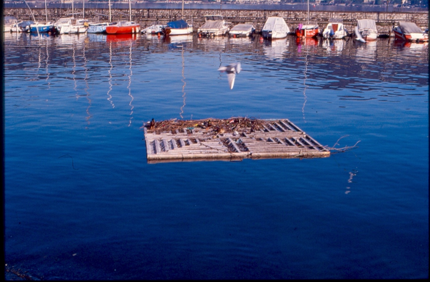 A FILO D'ACQUA